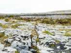 burren2