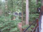 capilano3
