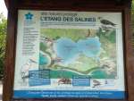 etang de salines01