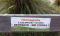 pichincha04