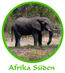 tl_files/reiseberichte/logos_startseite/3_suedafrika_logo.jpg tl_files/reiseberichte/logos_startseite/3_suedafrika_logo.jpg