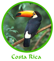tl_files/reiseberichte/logos_startseite/costarica_logo.jpg tl_files/reiseberichte/logos_startseite/costarica_logo.jpg