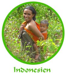 tl_files/reiseberichte/logos_startseite/indonesien_logo.jpg tl_files/reiseberichte/logos_startseite/indonesien_logo.jpg