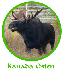 tl_files/reiseberichte/logos_startseite/okanada_logo.jpg tl_files/reiseberichte/logos_startseite/okanada_logo.jpg