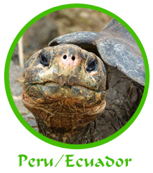 tl_files/reiseberichte/logos_startseite/peru_logo.jpg tl_files/reiseberichte/logos_startseite/peru_logo.jpg