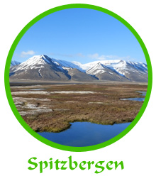 tl_files/reiseberichte/logos_startseite/spitzbergen_logo.jpg tl_files/reiseberichte/logos_startseite/spitzbergen_logo.jpg